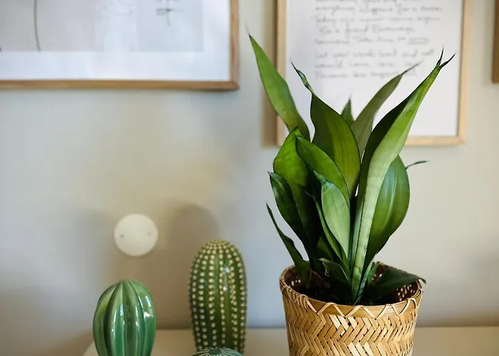 Casa Del Sole Апартаменты *